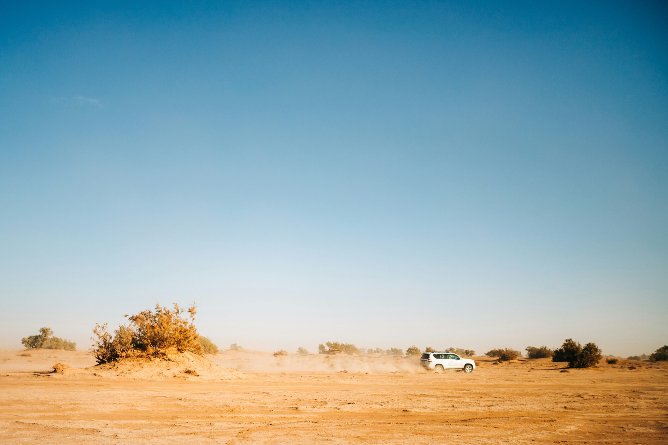 Surfing Sahara
